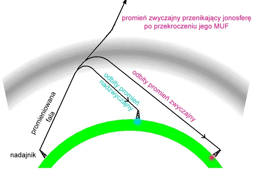 Zdjęcie Kto odkrył fale radiowe i dlaczego to zmieniło świat nauki